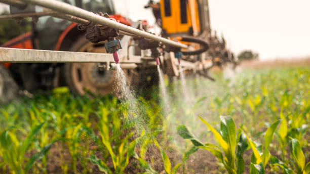 Best Ant Control Services  in Lexico, CA