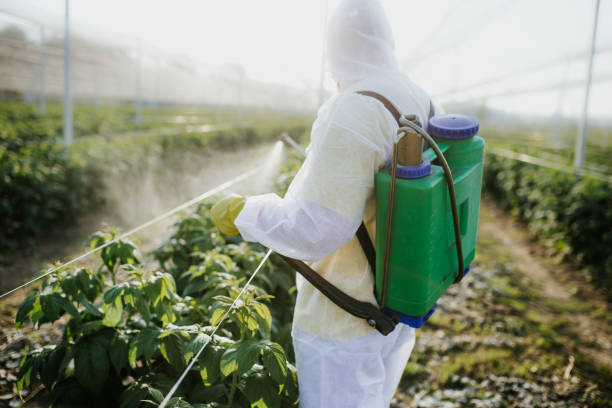Best Wildlife Control Services  in Lexico, CA